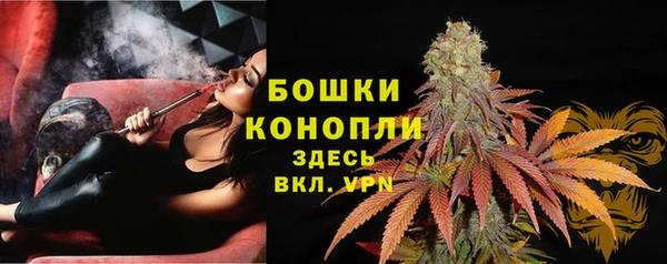 бошки Елизово