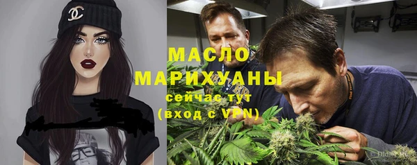 прущие грибы Ельня
