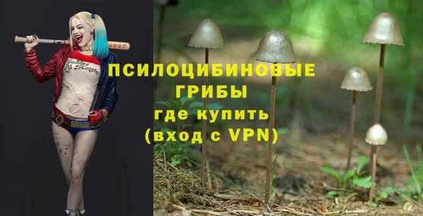 МДПВ Дмитровск