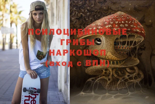 прущие грибы Ельня