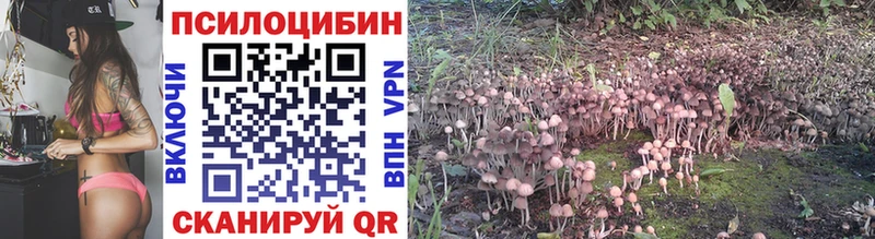 Псилоцибиновые грибы GOLDEN TEACHER  Володарск 